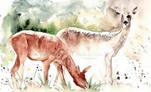 Peinturemamanlotus | CHRISTIANE ALLENBACH | BICHES SKETCH Peinturemamanlotus | CHRISTIANE ALLENBACH | BICHES SKETCH
