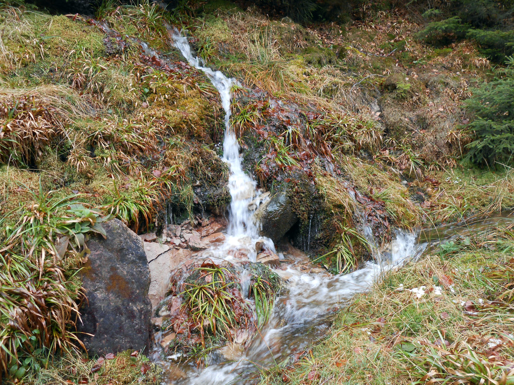 CHRISTIANE ALLENBACH RUISSEAU MONTAGNE