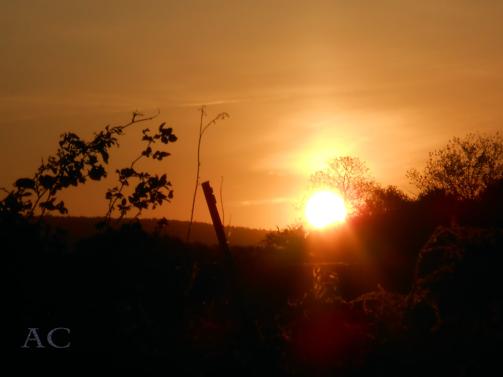 CHRISTIANE ALLENBACH SOLEIL DU MATIN