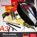 CHRISTIANE ALLENBACH | TROUSSE ET BLOC ESQUISSES CHRISTIANE ALLENBACH | TROUSSE ET BLOC ESQUISSES