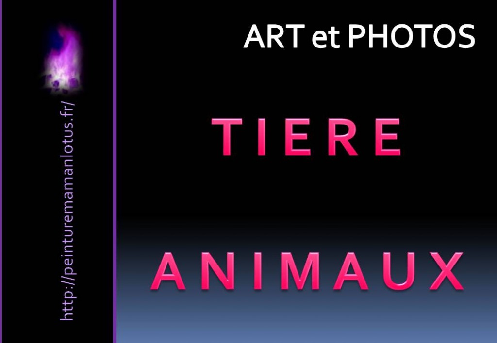 PEINTUREMAMANLOTUS | CHRISTIANE ALLENBACH | ANIMAUX