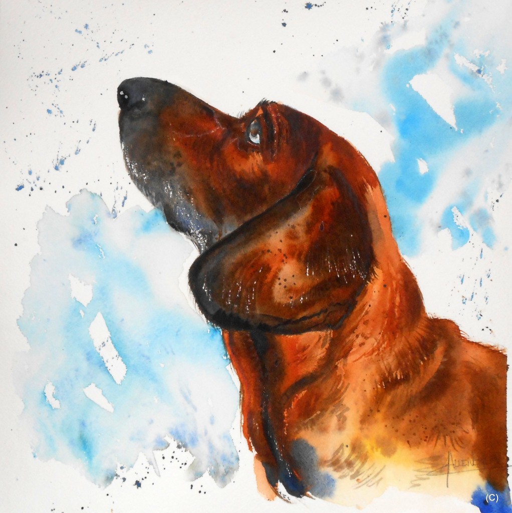 ALLENBACH CHRISTIANE DARIO PROFIL