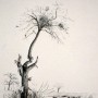 allenbach-christiane-dessin-arbre-de-reichshoffen