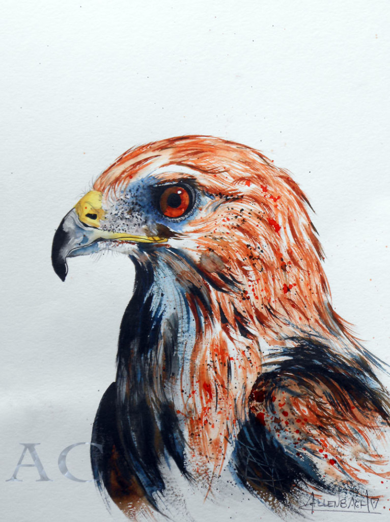 CHRISTIANE ALLENBACH 30 x 40 cm RAPACE CHRISTIANE ALLENBACH 30 x 40 cm RAPACE