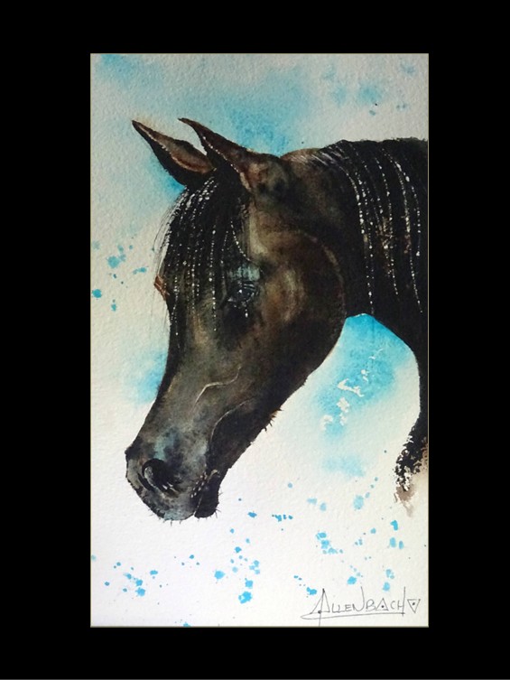 CHRISTIANE ALLENBACH CP CHEVAL CHRISTIANE ALLENBACH CP CHEVAL