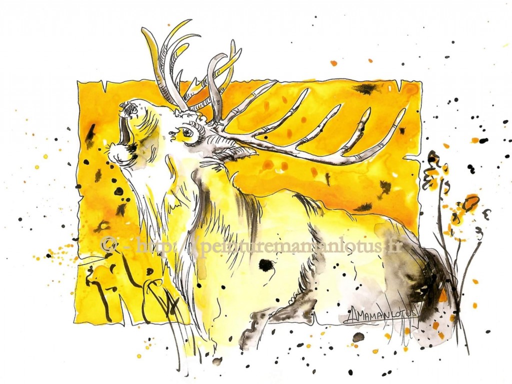 CHRISTIANE ALLENBACH LE CHEF CERF ILLU