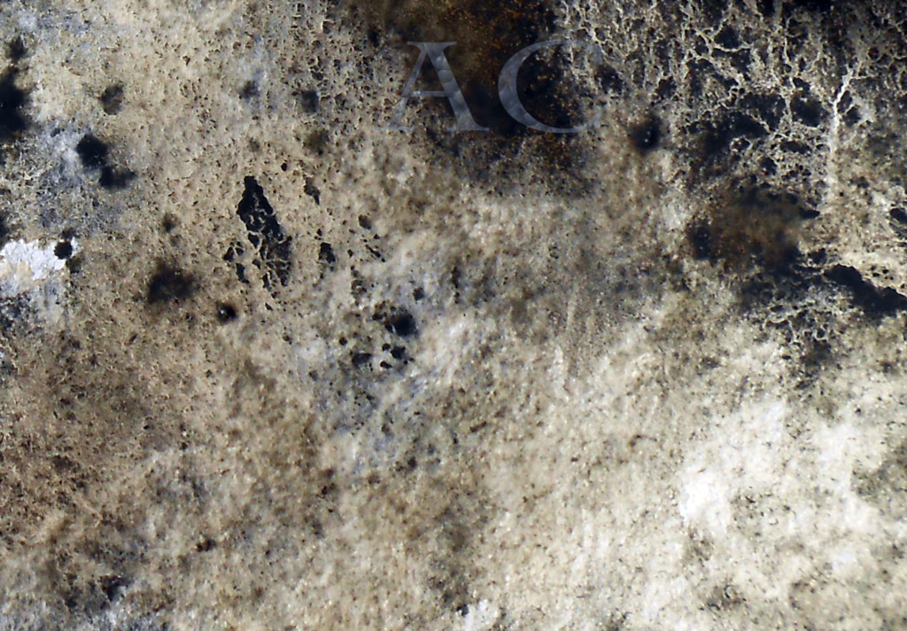 CHRISTIANE ALLENBACH STRUCTURES BASIQUES FILAMENTS GRANULATION (1)