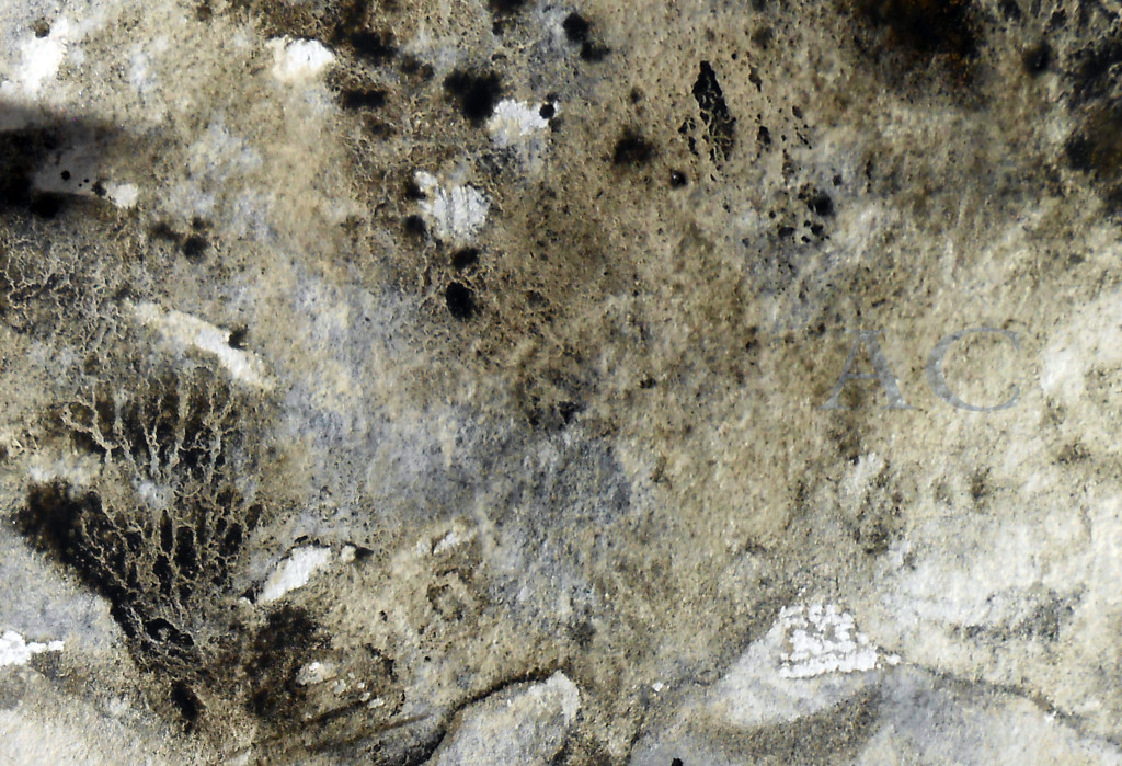 CHRISTIANE ALLENBACH STRUCTURES BASIQUES FILAMENTS GRANULATION (2)