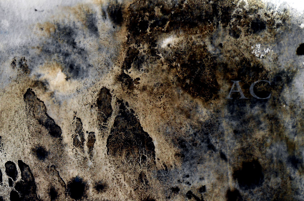 CHRISTIANE ALLENBACH STRUCTURES BASIQUES FILAMENTS GRANULATION (3)