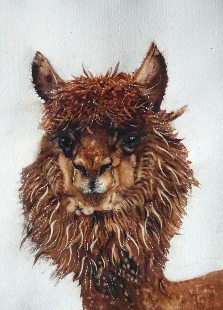 CHRISTIANE ALLENBACH VIGOGNE BAO 30x40 cm CHRISTIANE ALLENBACH VIGOGNE BAO 30x40 cm