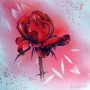 Christiane ALLENBACH ROSE Arches 28 x 26