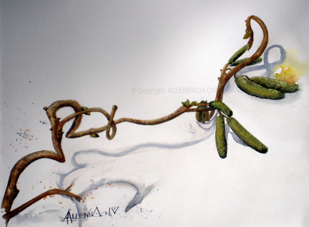 ALLENBACH CHRISTIANE BRANCHE PRINTANIERE