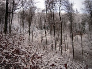 allenbach-christiane-premiere-neige-2017-37