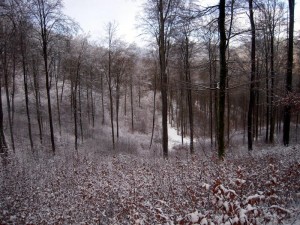 allenbach-christiane-premiere-neige-2017-39