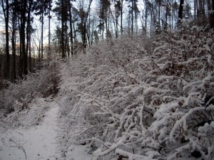 allenbach-christiane-premiere-neige-2017-44