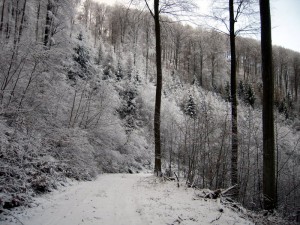 allenbach-christiane-premiere-neige-2017-48