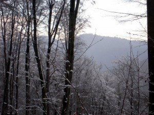 allenbach-christiane-premiere-neige-2017-51