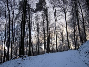 allenbach-christiane-premiere-neige-2017-57