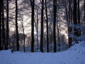 allenbach-christiane-premiere-neige-2017-58