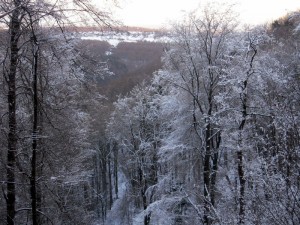 allenbach-christiane-premiere-neige-2017-63