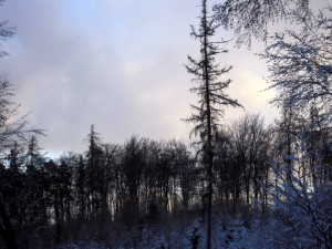 allenbach-christiane-premiere-neige-2017-66