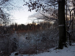 allenbach-christiane-premiere-neige-2017-70