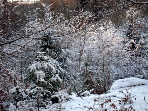 allenbach-christiane-premiere-neige-2017-72