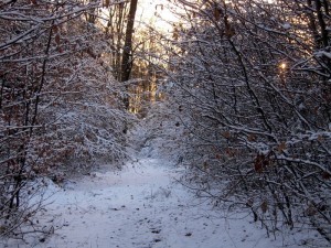 allenbach-christiane-premiere-neige-2017-76