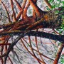 CHRISTIANE ALLENBACH 40 x 50 arches NEZ EN L AIR