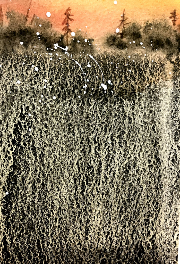 CHRISIANE ALLENBACH LARMES DE LA NATURE