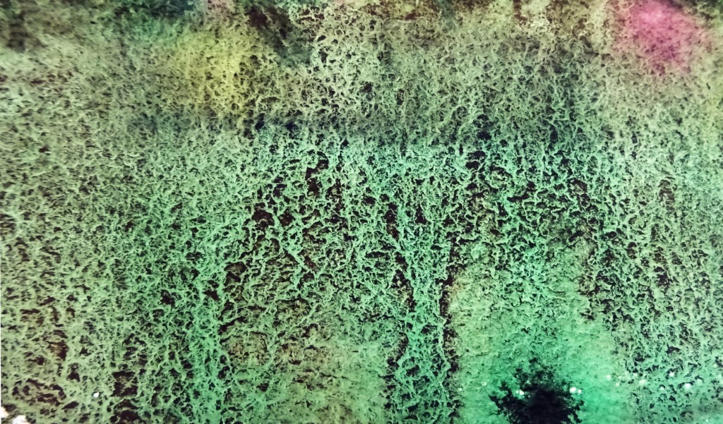 CHRISTIANE ALLENBACH DETAIL 14 04 26