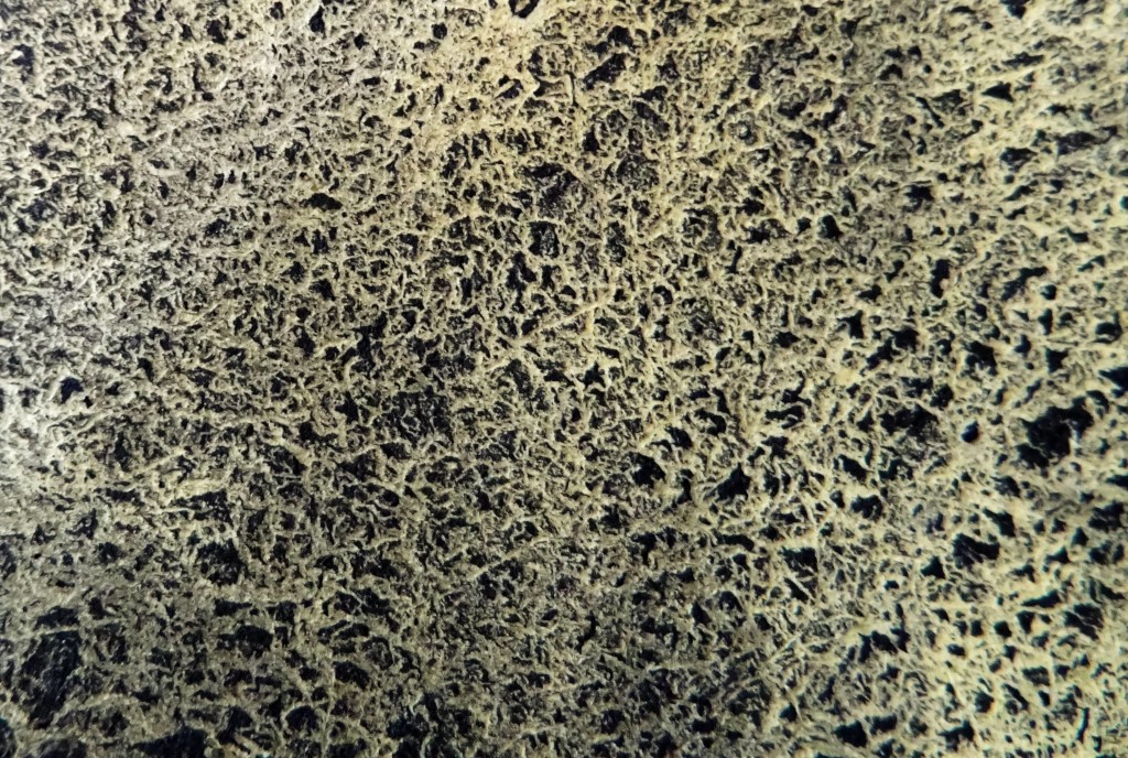 Christiane ALLENBACH larmes d_Or 16 06 26