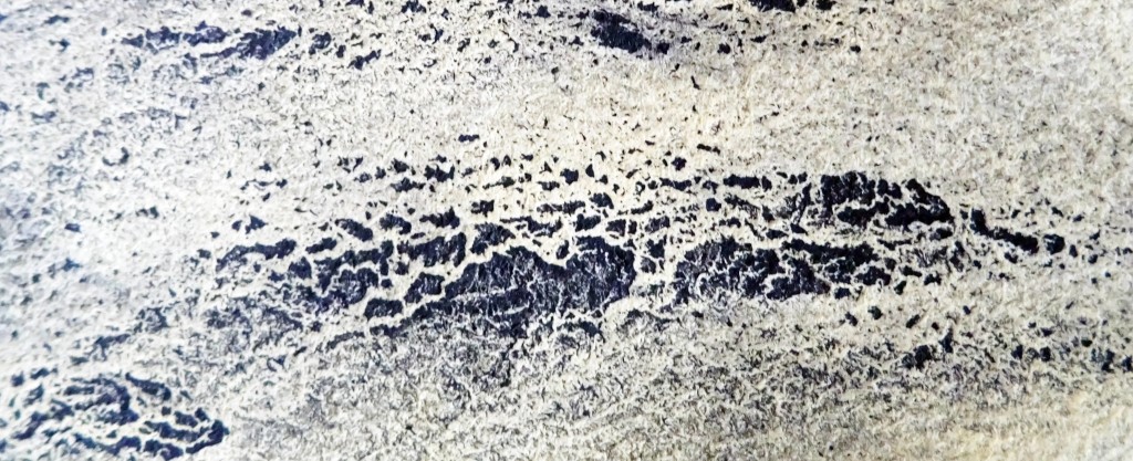 Christiane ALLENBACH_ larmes d_Or 16 06 26