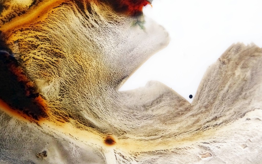 CHRISTIANE ALLENBACH TEXTURE 260326_